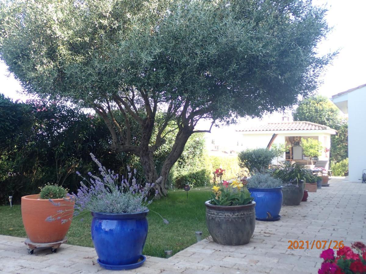 Les Fruitiers אגדה מראה חיצוני תמונה